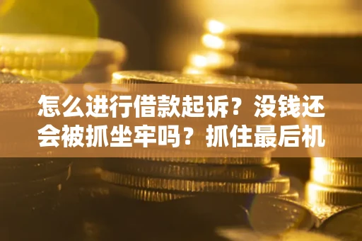 济南怎么进行借款起诉？没钱还会被抓坐牢吗？抓住最后机会！