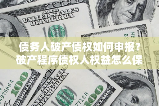 济南债务人破产债权如何申报？破产程序债权人权益怎么保障？