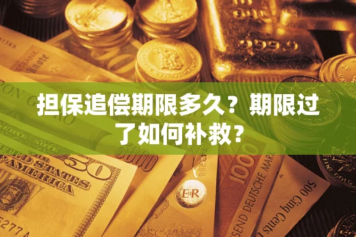 济南担保追偿期限多久？期限过了如何补救？